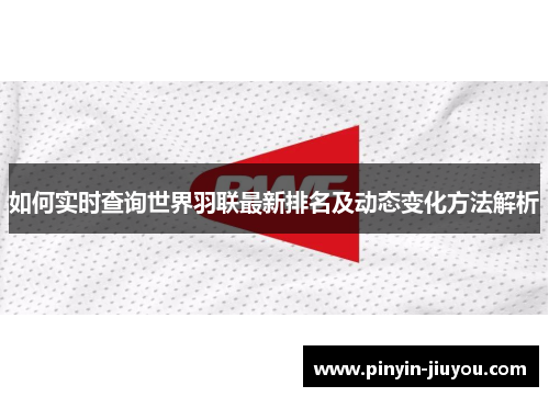 如何实时查询世界羽联最新排名及动态变化方法解析
