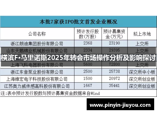 横滨F·马里诺斯2025年转会市场操作分析及影响探讨