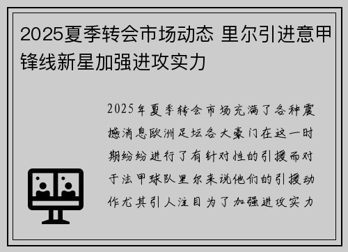 2025夏季转会市场动态 里尔引进意甲锋线新星加强进攻实力